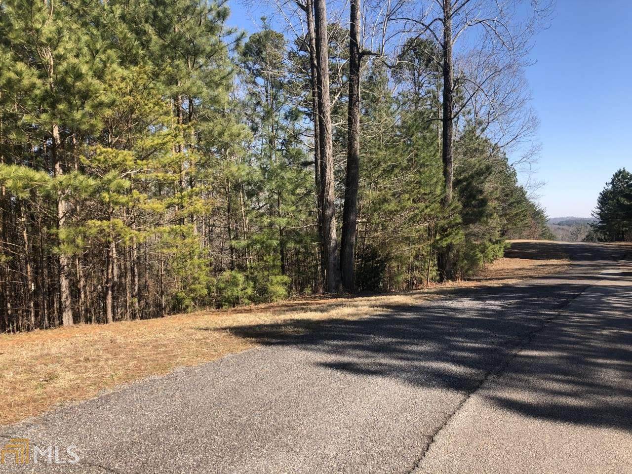 131 Rock Creek Trail - Photo 1