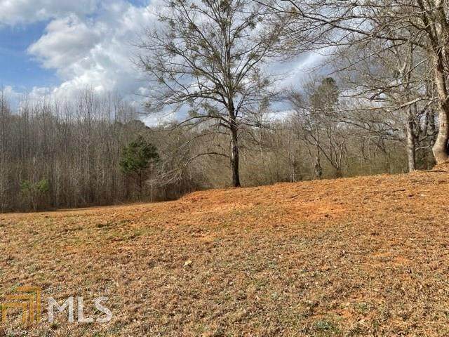 243 Ichabod Ln - Photo 1