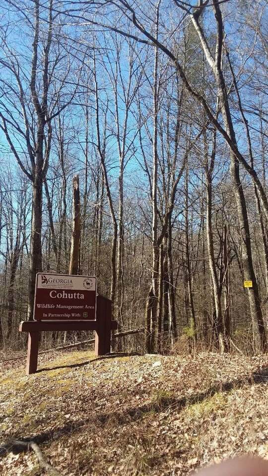 0 Wilderness Trail - Photo 1