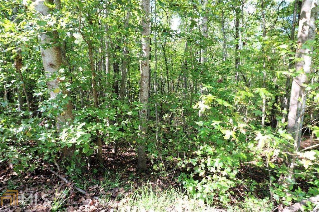 0 Sharp Mountain Parkway - Photo 1