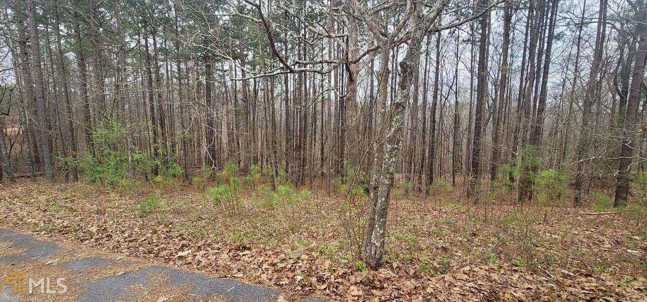 0 Old White Oak Cemetary Road - Photo 1