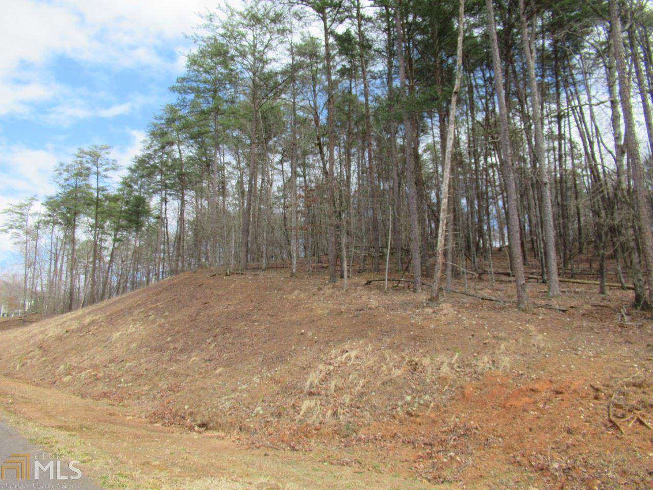0 Old Stamp Mill Road - Photo 1