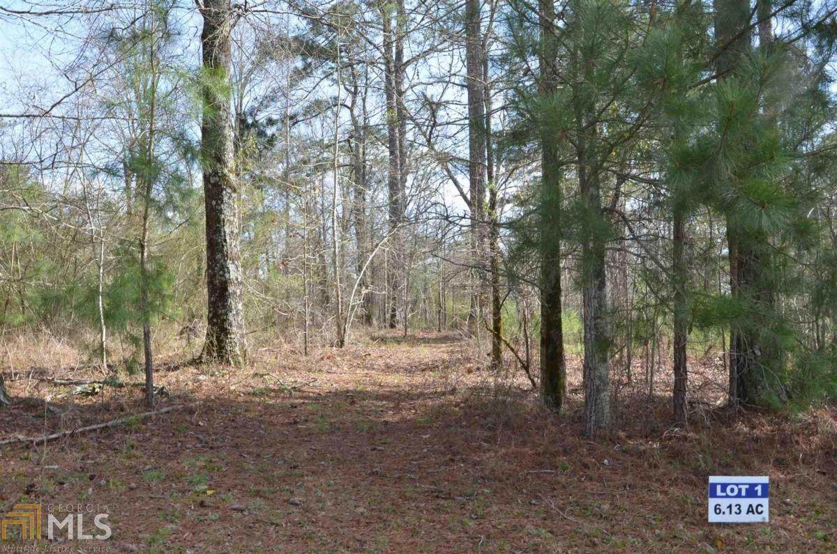 0 Eagle Way Drive - Photo 1