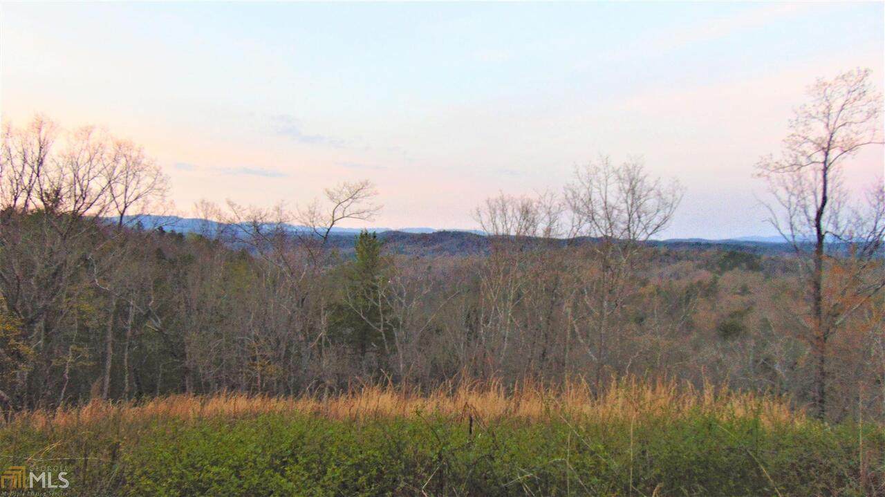 1416 Foxhound Trail - Photo 1