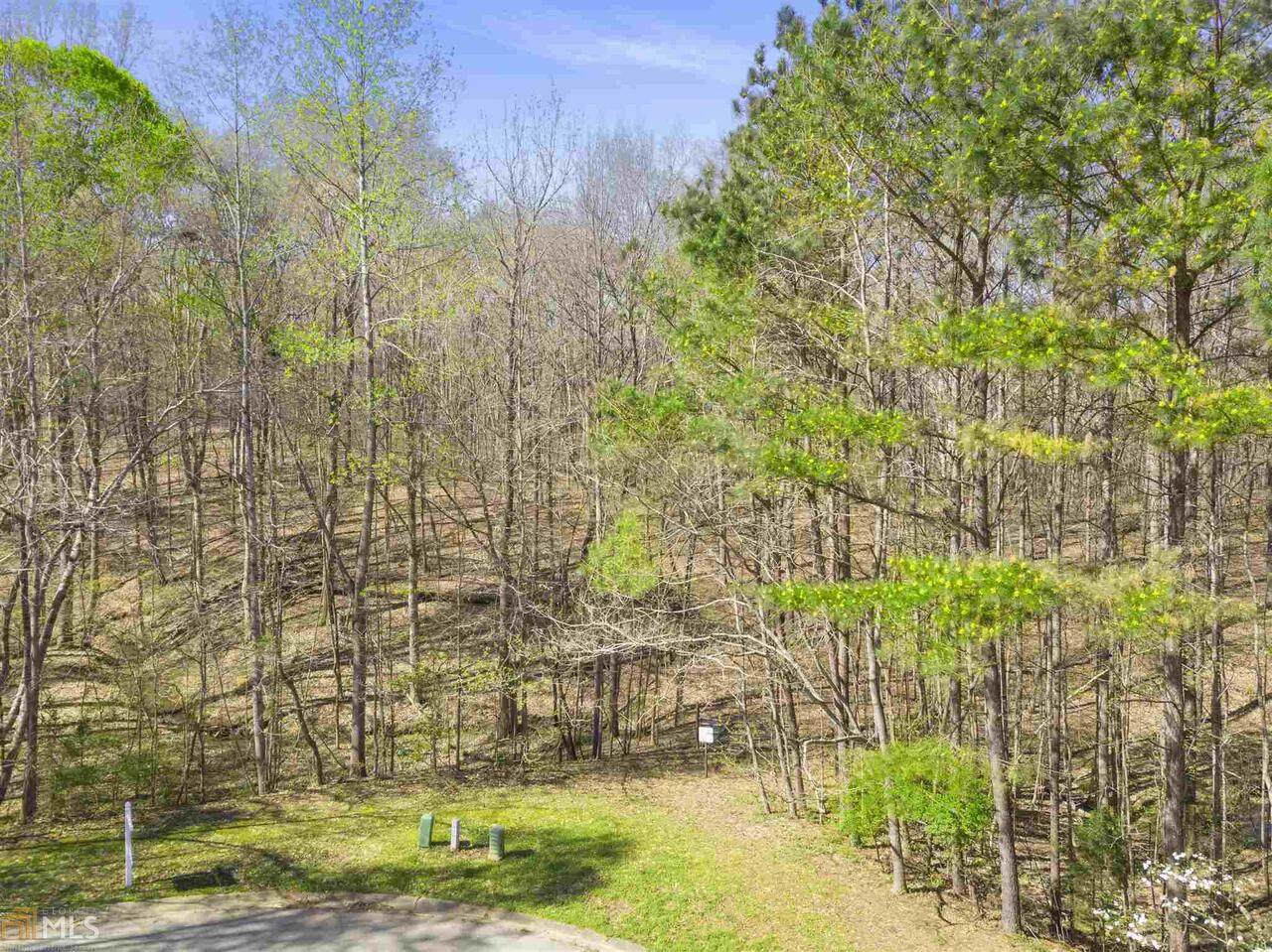 0 Fernwood Court - Photo 1