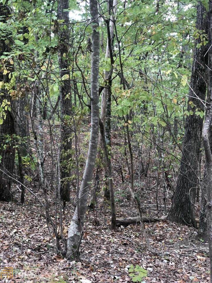 0 Laurel View Drive - Photo 1