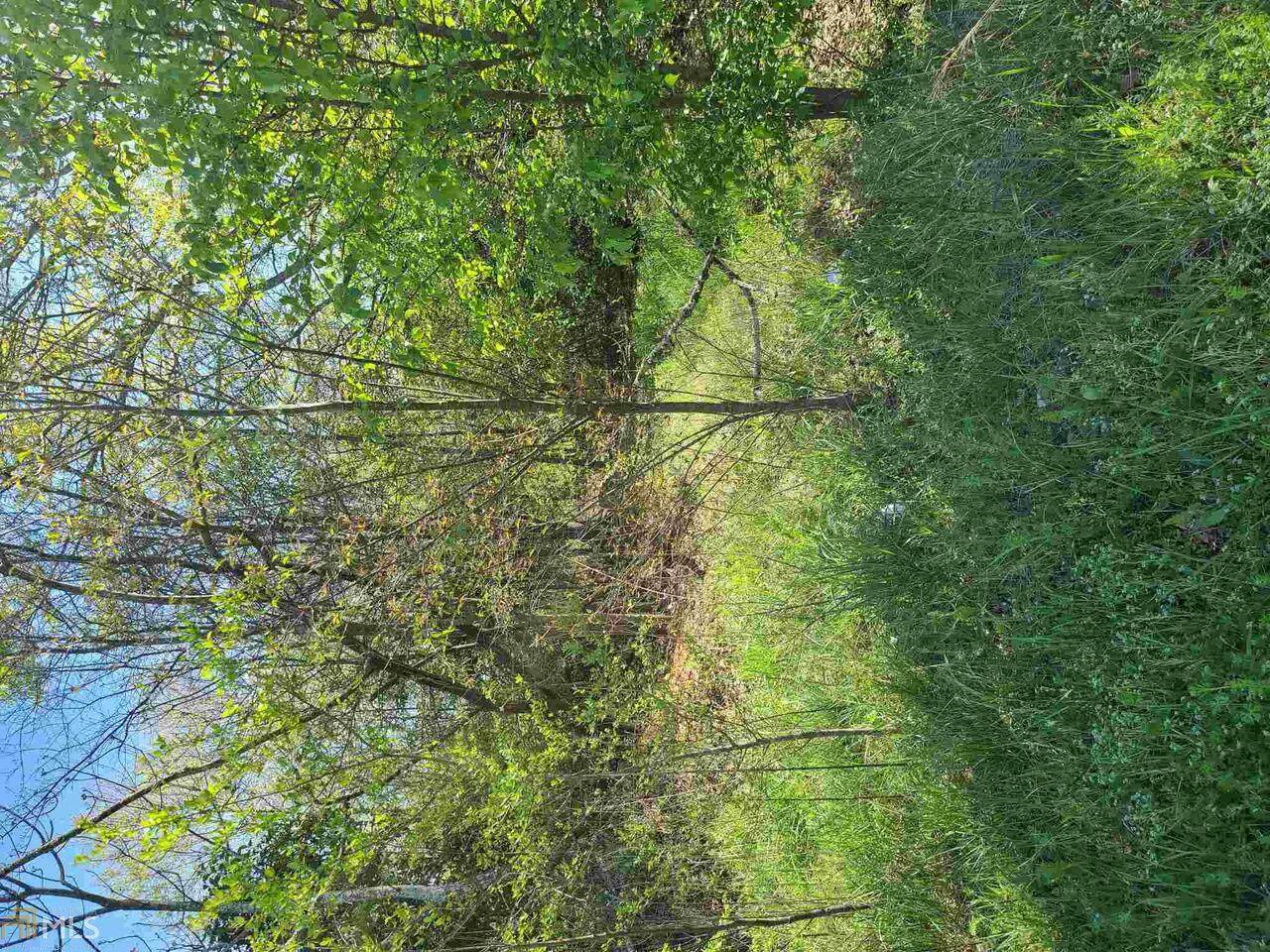 68 Harris Street - Photo 1