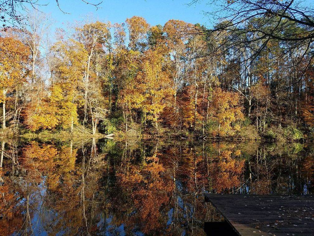 0 Bishop Lake Road - Photo 1