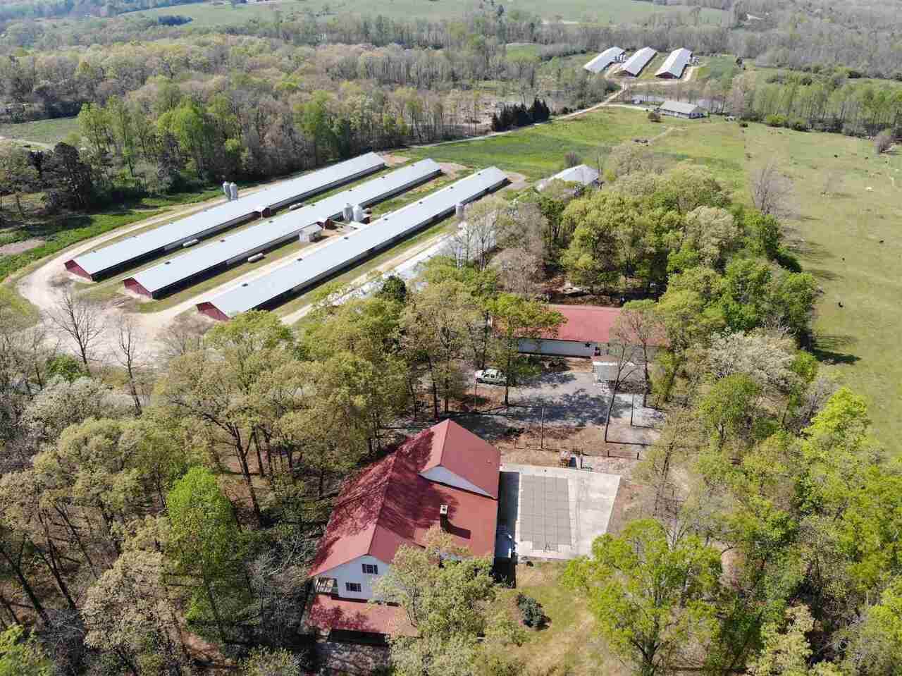 150 Beagle Trail - Photo 1
