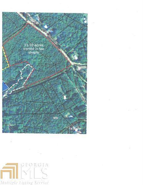 0 Tussahaw Point Drive - Photo 1