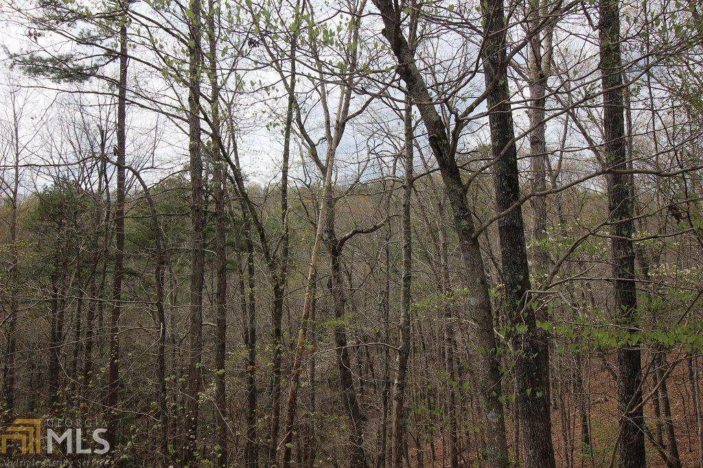 101R Mountain Creek Hollow Drive - Photo 1