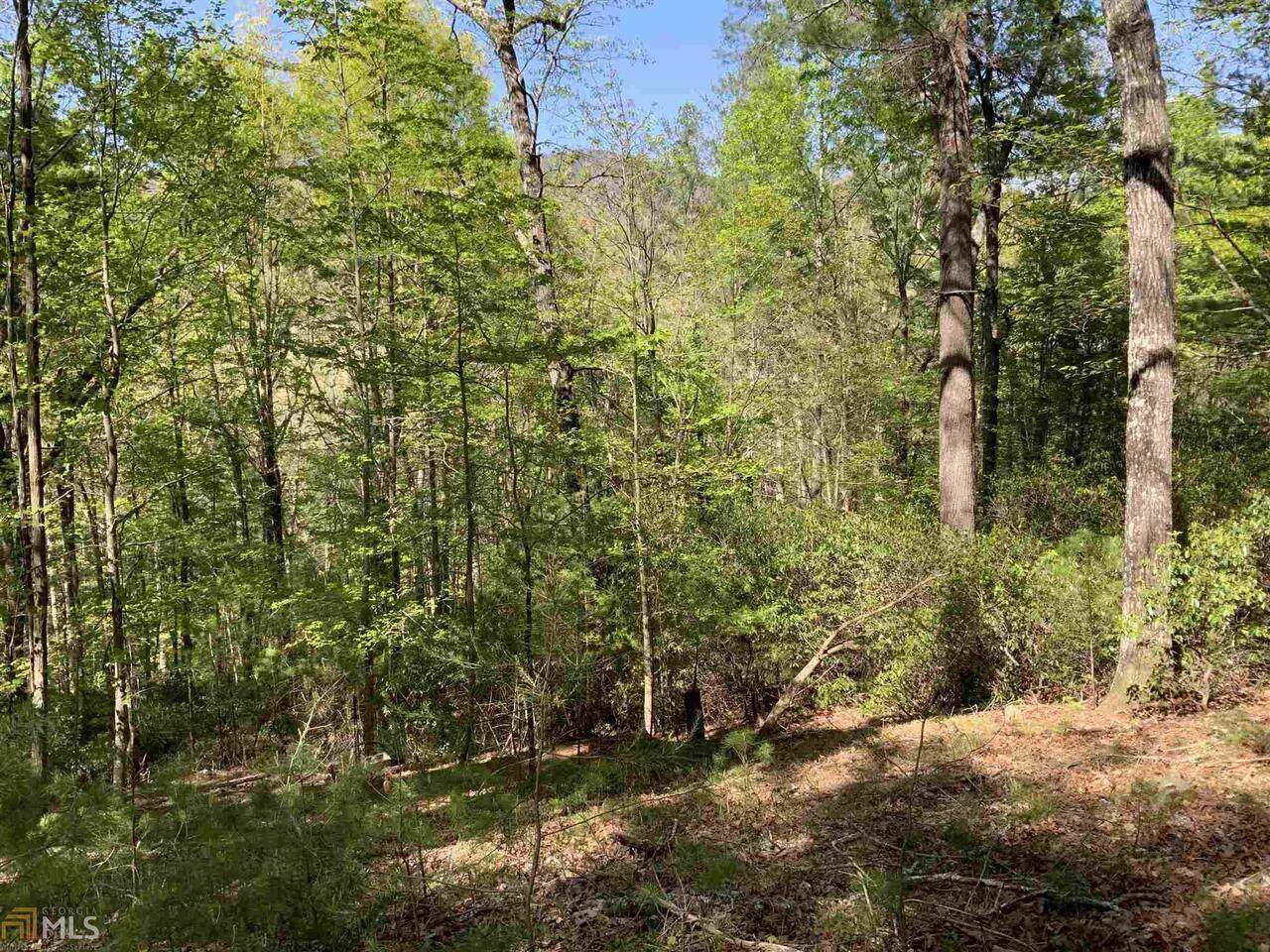 226 Pine Ridge Road - Photo 1