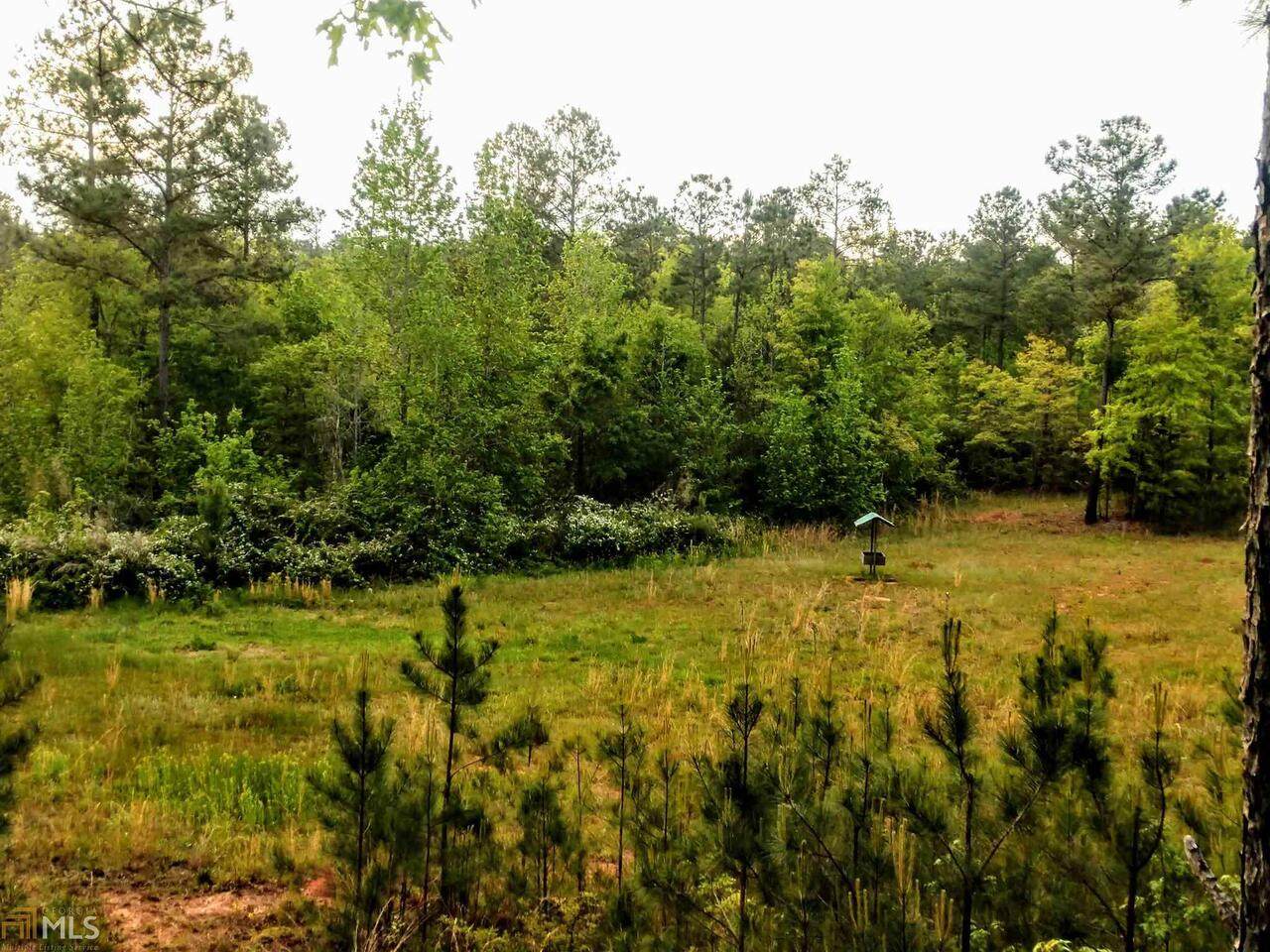 2301 Roland Road - Photo 1