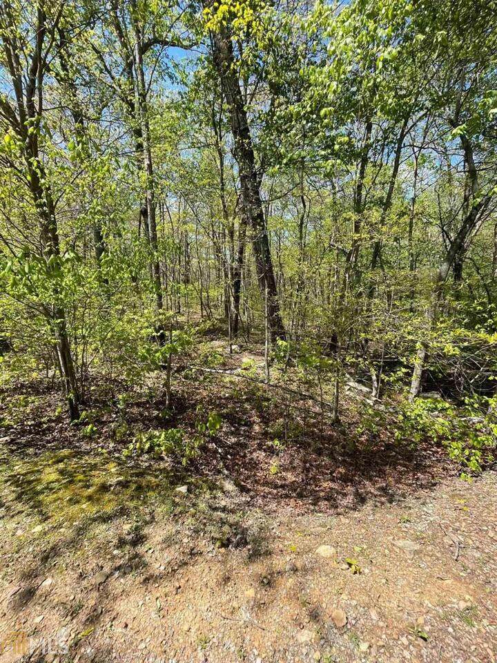 218 Mystic Trail Lane Lane - Photo 1