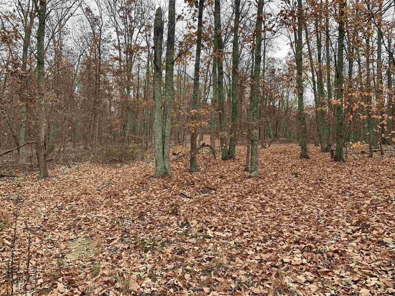 500 Snow Springs Church Road - Photo 1