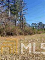 6779 Rockbridge Road - Photo 1