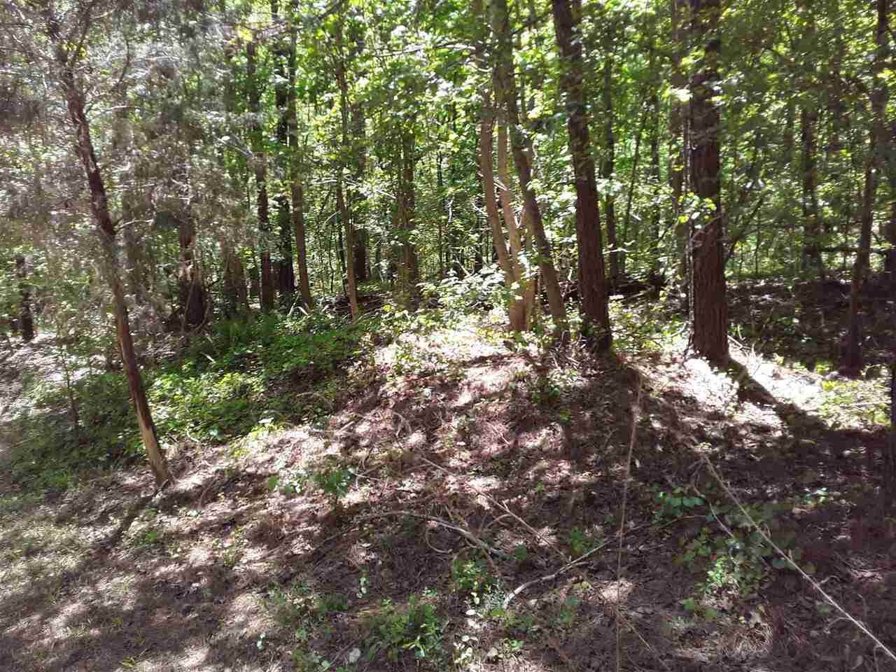6725 Ashebrooke - Photo 1