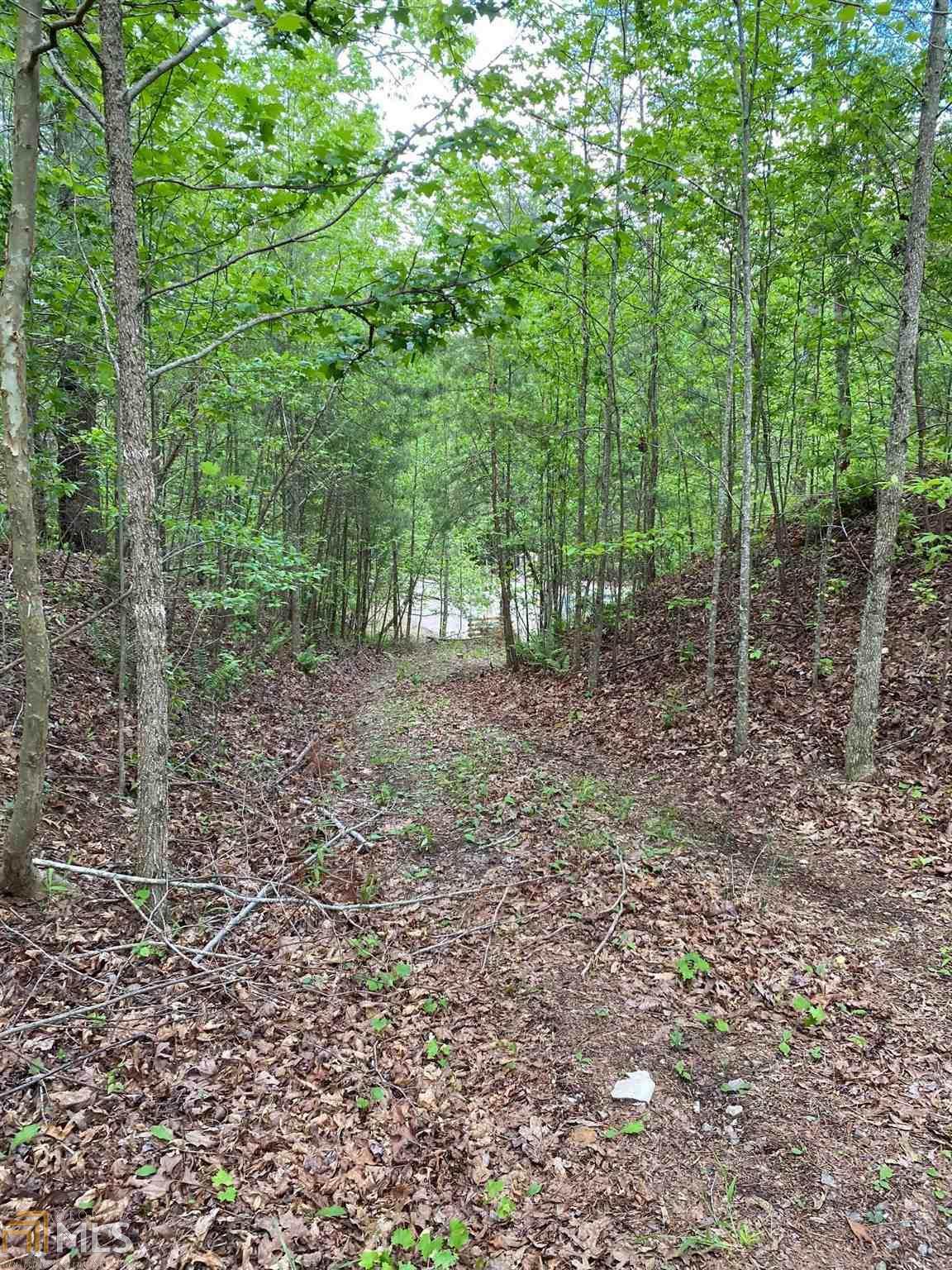0 Paradise Park Rd - Photo 1