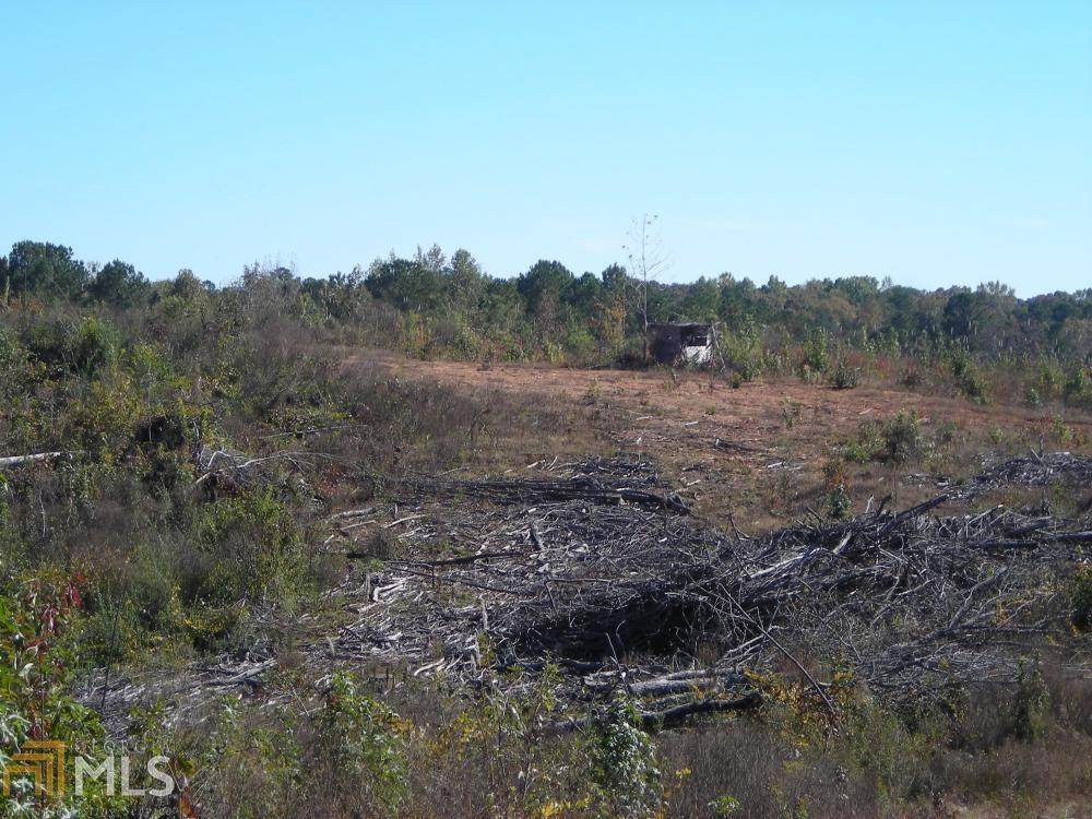 0 Ga Highway 100 - Photo 1