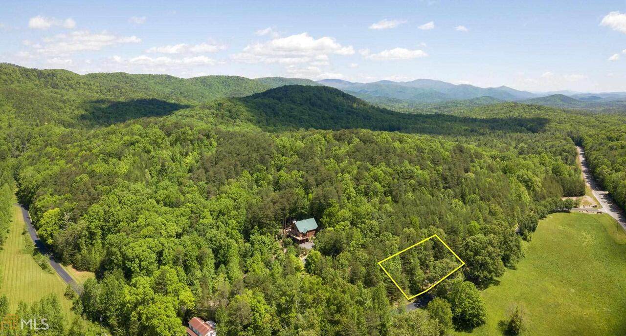 0A Chestatee Drive - Photo 1