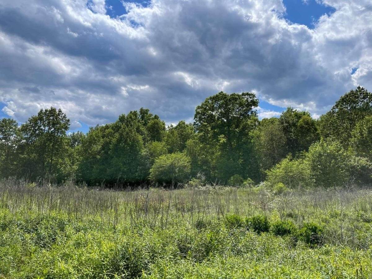 0 Corner Of Eagle Creek Farm Drive & Highway 136 - Photo 1