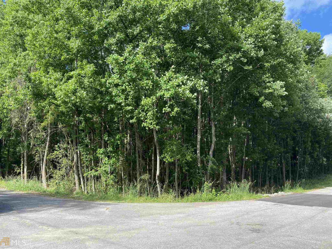 0 Otter Lane - Photo 1