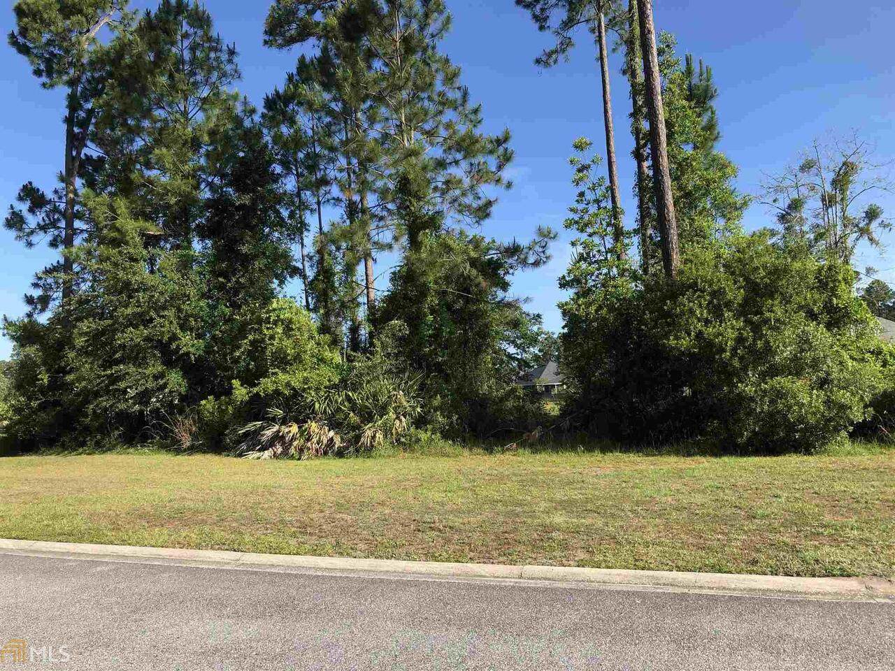 239 Ebb Tide Crossing - Photo 1