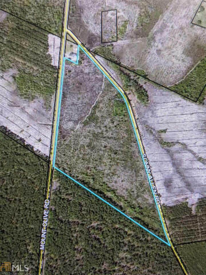0 Mt Olive Road - Photo 1
