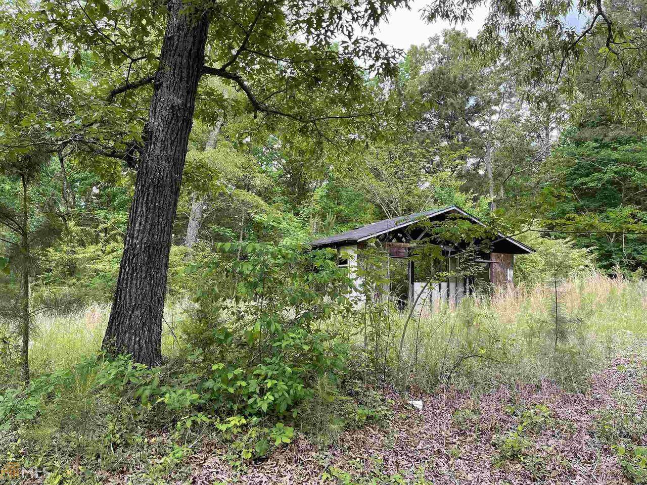 161 Livingston Road - Photo 1