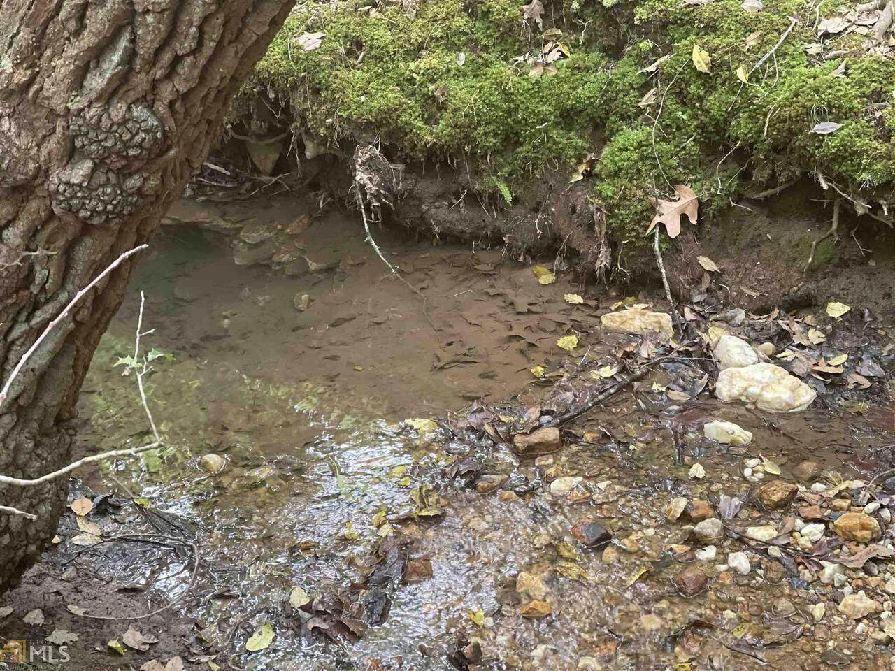 0 Hedgecock Road - Photo 1