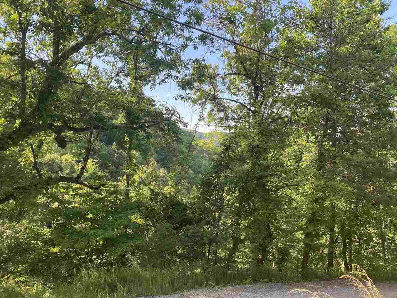 626 Ocelot Trail - Photo 1