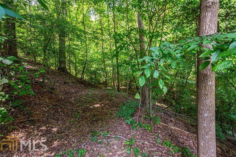 0 Hamp Mill Road - Photo 1