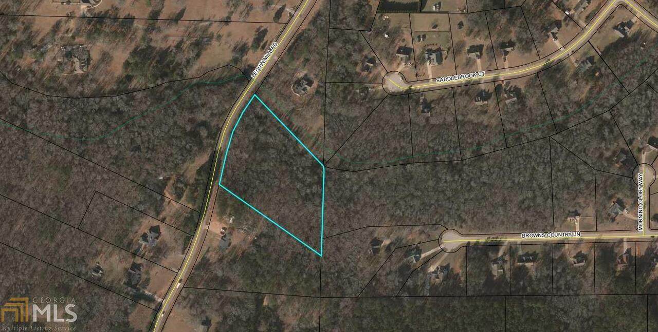 0 Leguin Mill Road - Photo 1