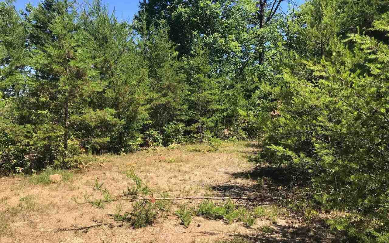 0 Beach Mtn - Photo 1