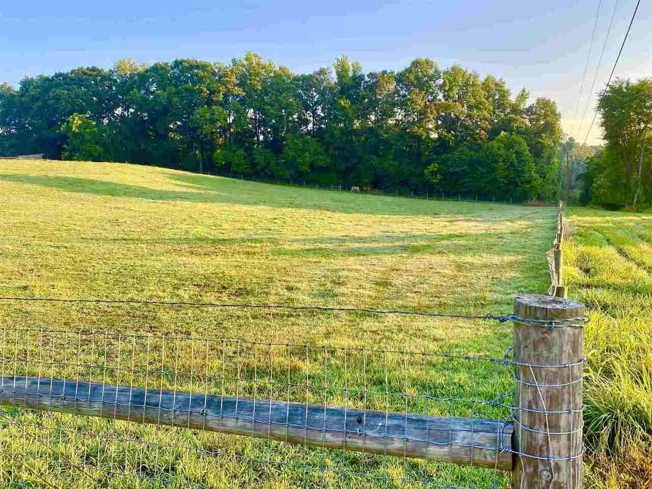 0 Cedar Grove Church Road - Photo 1