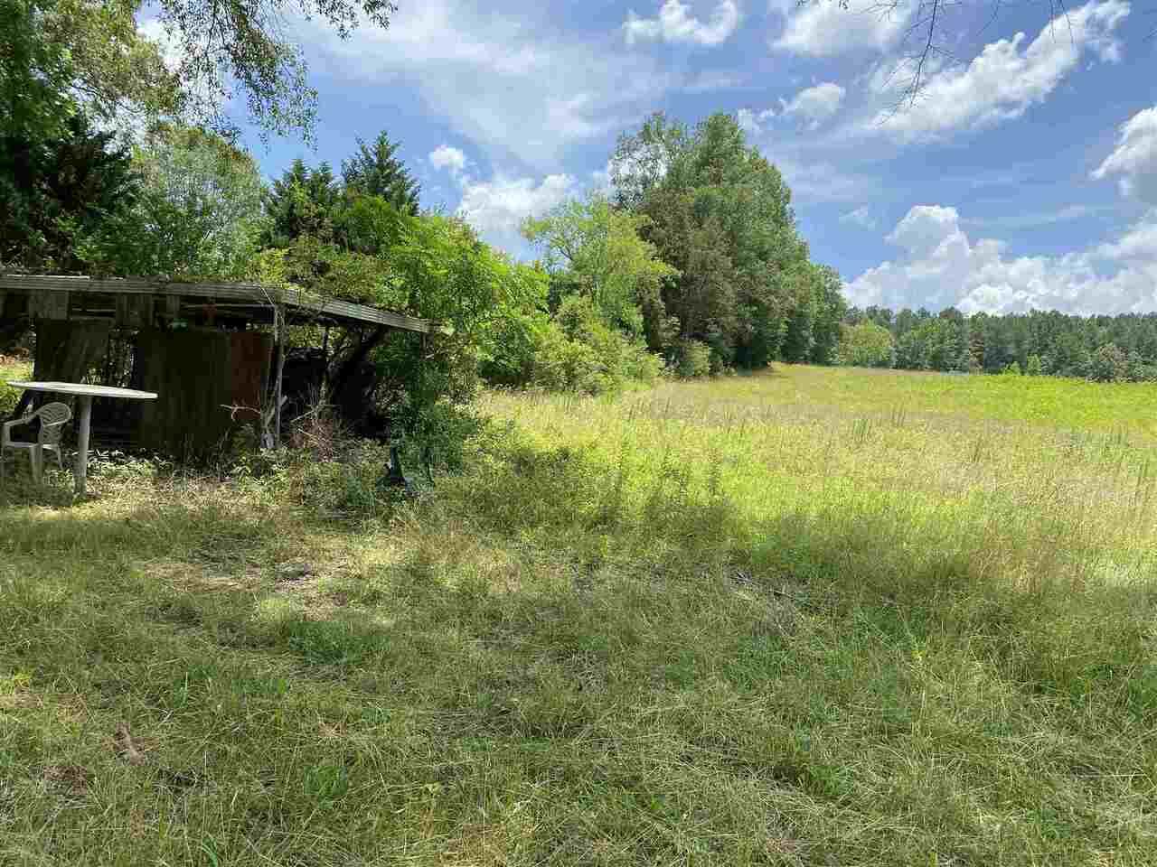 1744 A Wax Road - Photo 1