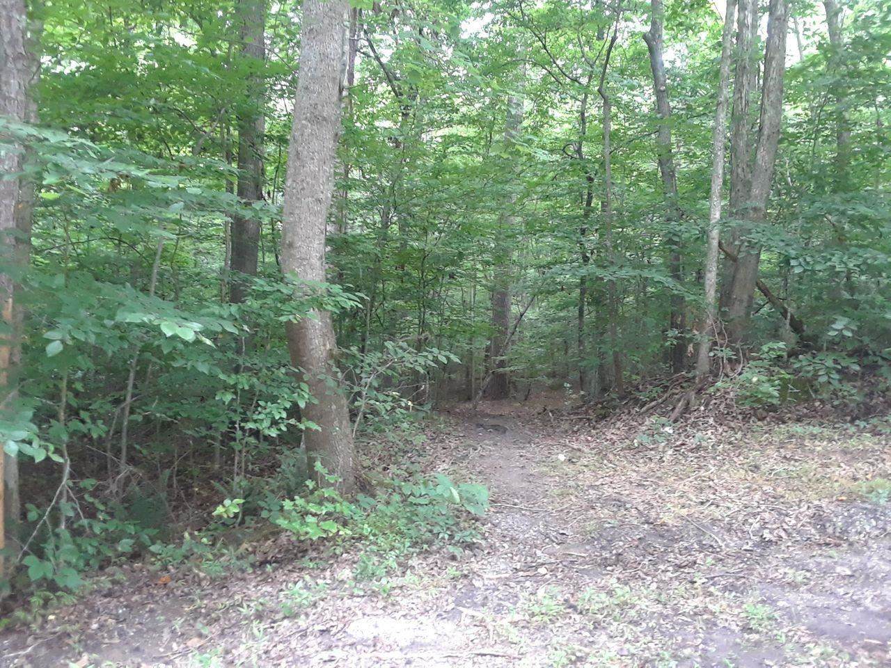 0 Grant Drive - Photo 1