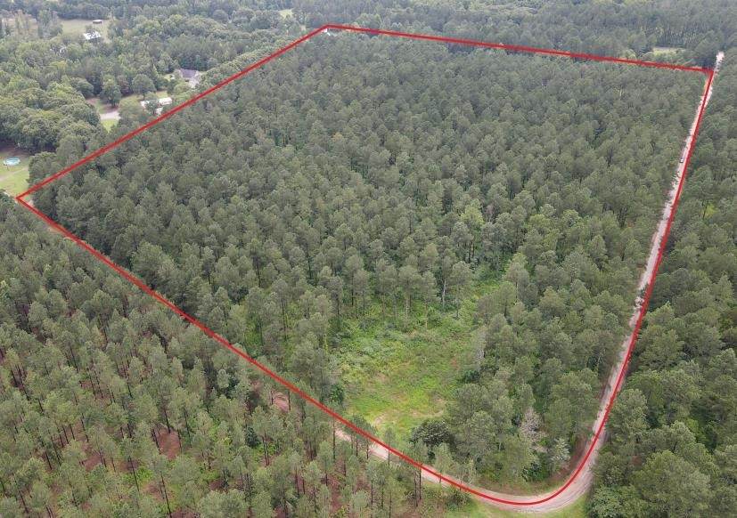 0 Pine Grove Road - Photo 1