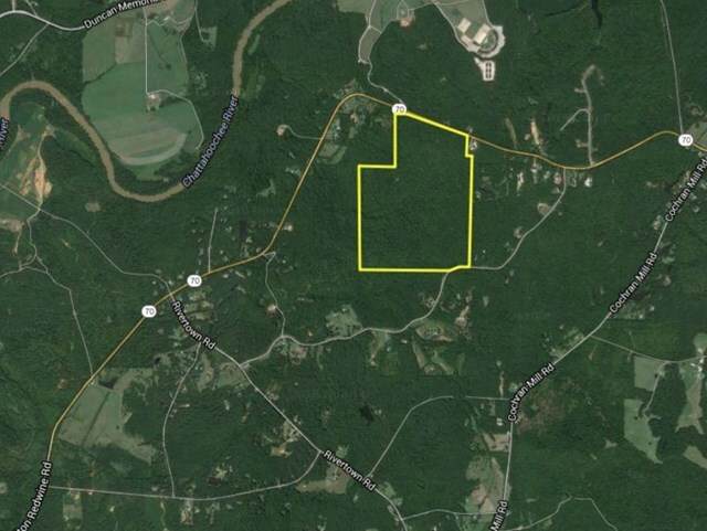 0 Cedar Grove Road - Photo 1