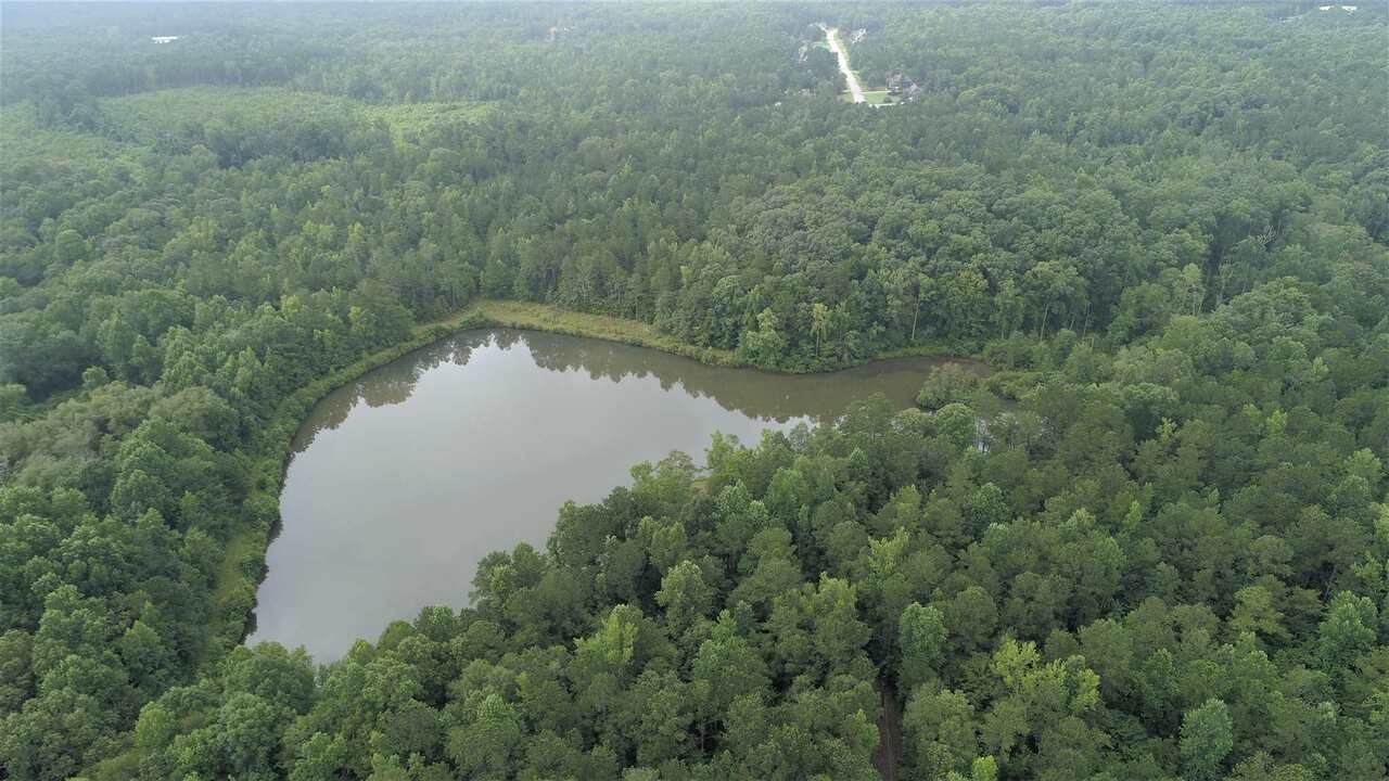 3363 Highway 85 - Photo 1