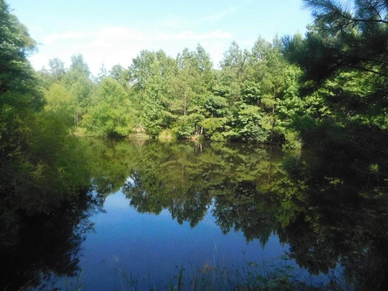 0 White Oak Road - Photo 1