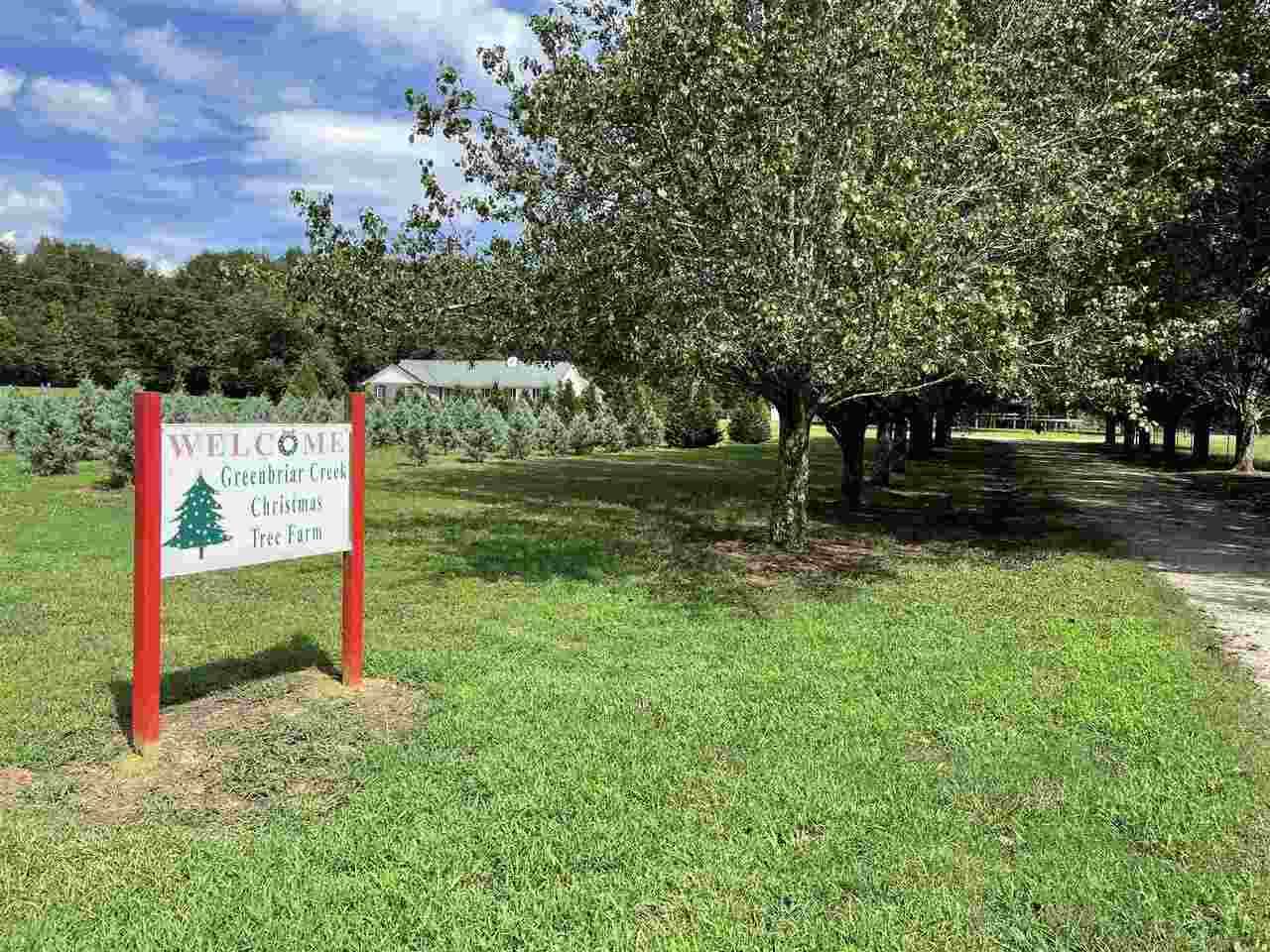 1540 Old Bishop Road - Photo 1