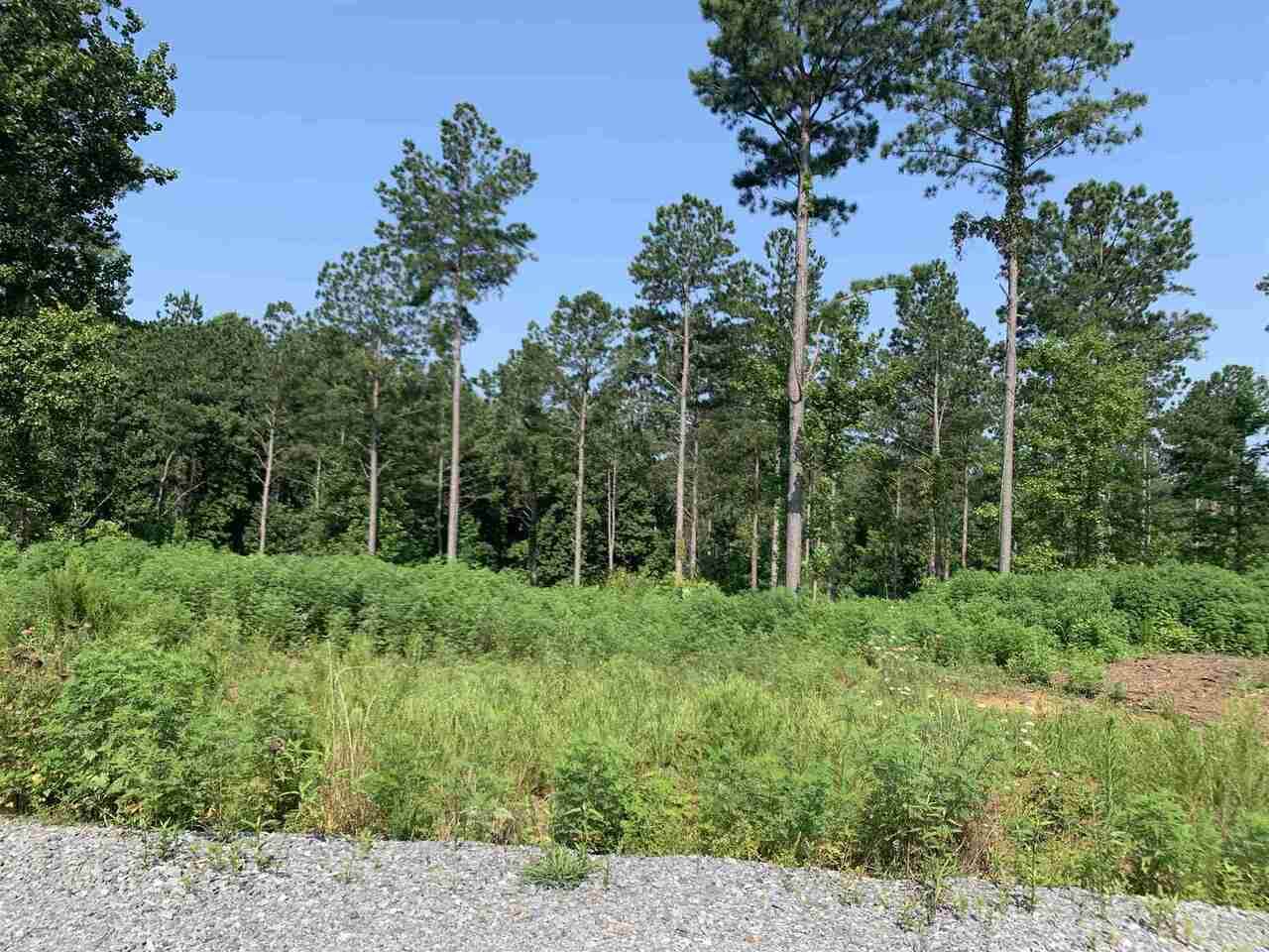 0 Wildlife Ridge Road - Photo 1