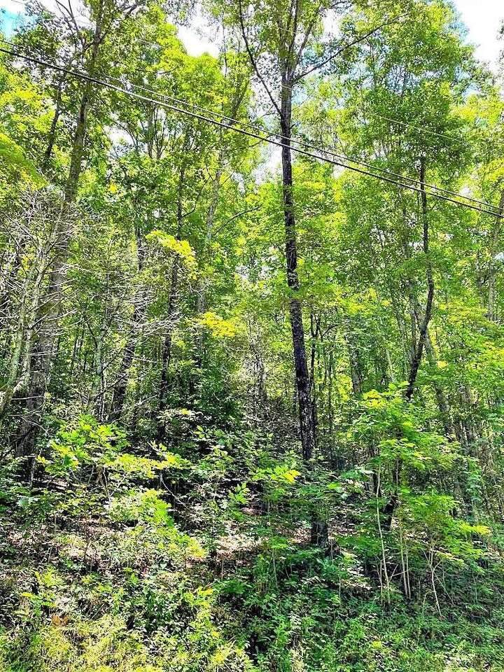 0 Blue Ridge Gap Road - Photo 1
