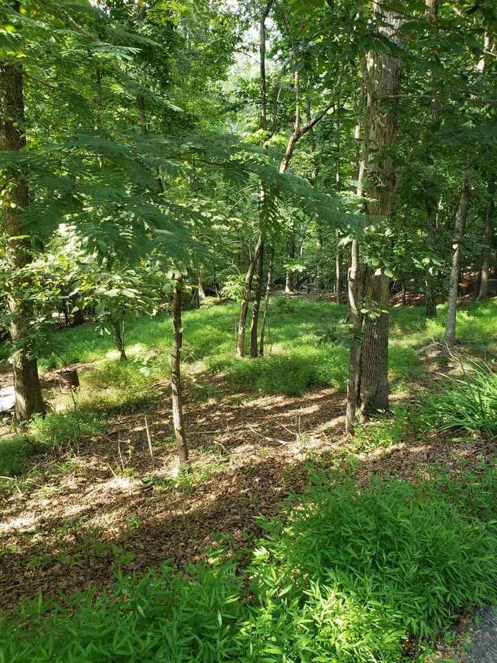3416 Rock Ridge - Photo 1