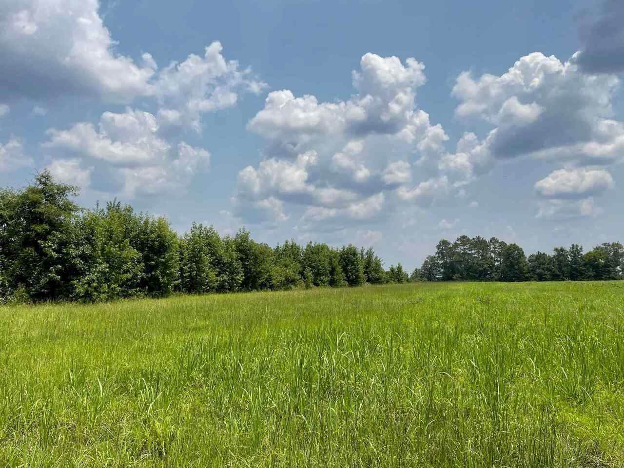 0 Reids Ferry Road - Photo 1