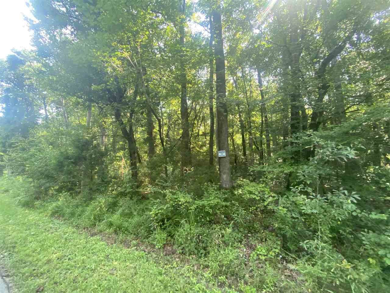 4442 Berline Drive - Photo 1