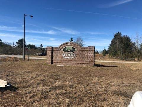 310 Myrtle Crossing Drive - Photo 1