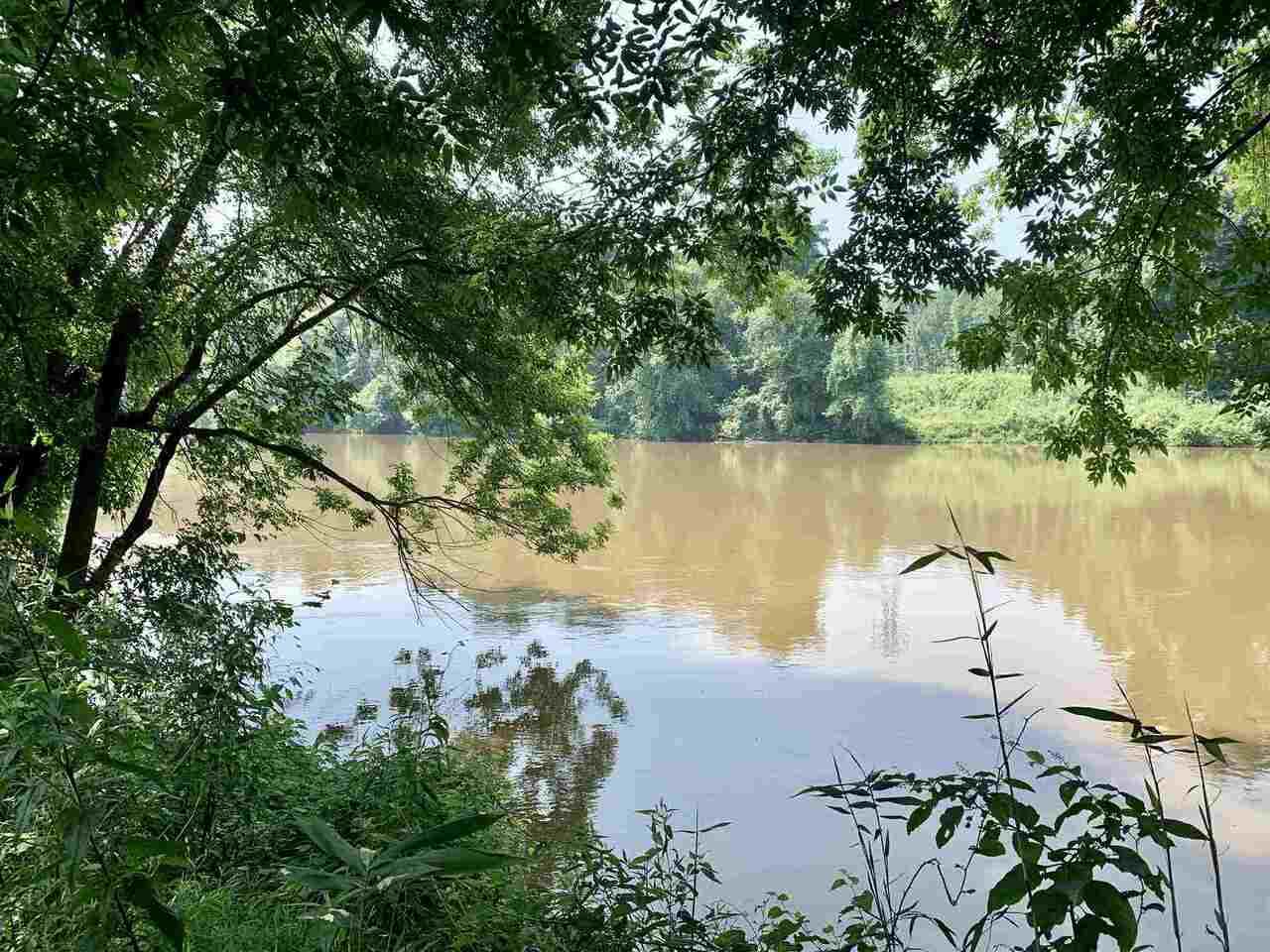 0 Horseleg Creek Road - Photo 1