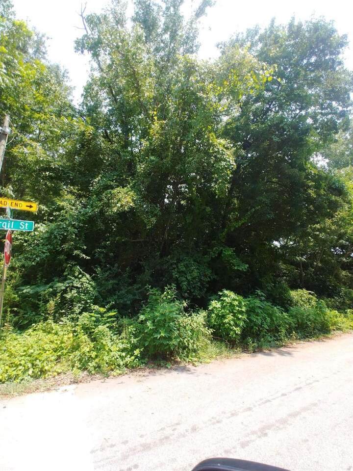 5951 Dodgen Road - Photo 1